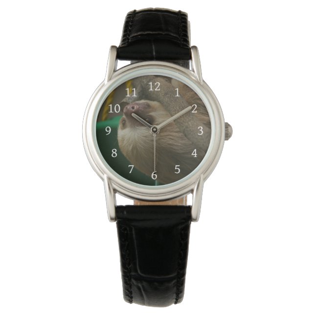Montre Paresseux (devant)