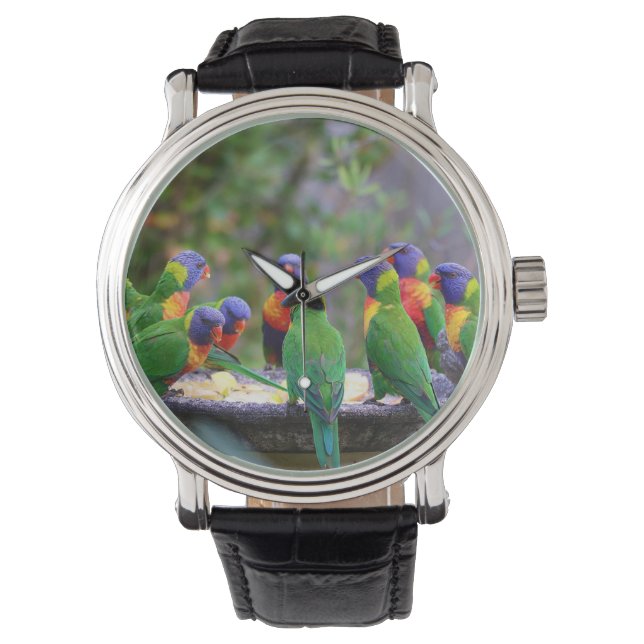 Montre Parrots colorés Arc-en-ciel Lorikeet Manger (devant)
