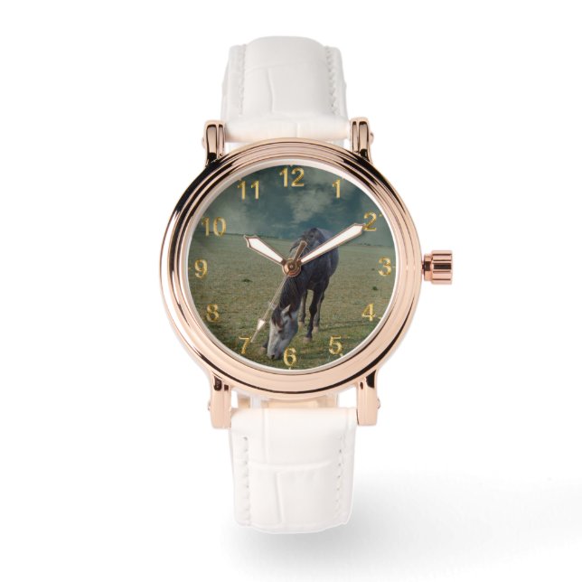 Montre Pâturage De Cheval De Roan À Paddock, (Recto)