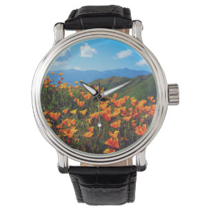 Montre Pavot de Californie recouvrant une colline
