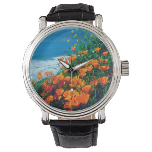 Montre Pavot le long de la côte Pacifique près de Big S