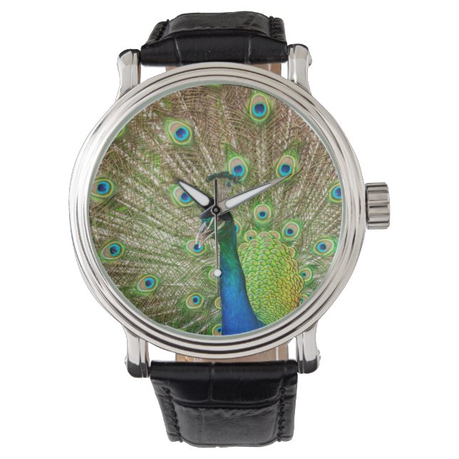 Montre Peacock (devant)