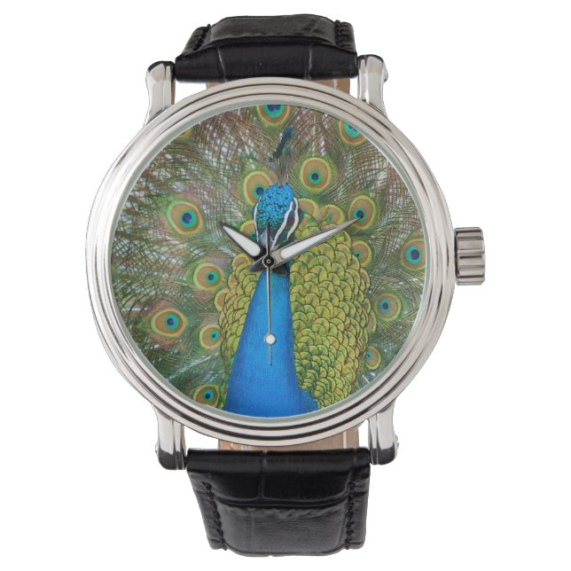 Montre Peacock S9K.jpg (devant)