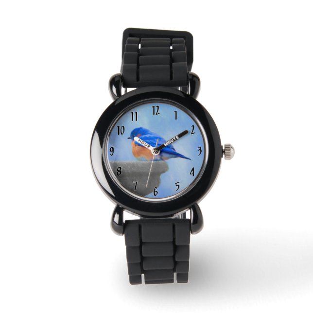 Montre Peinture Bluebird - Art original pour oiseaux (Recto)