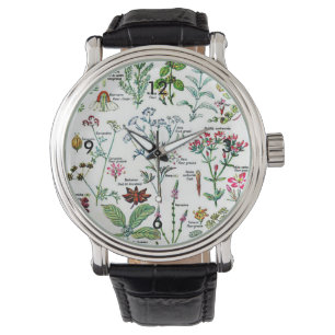 Montre Peinture digestive d'usines de Larousse