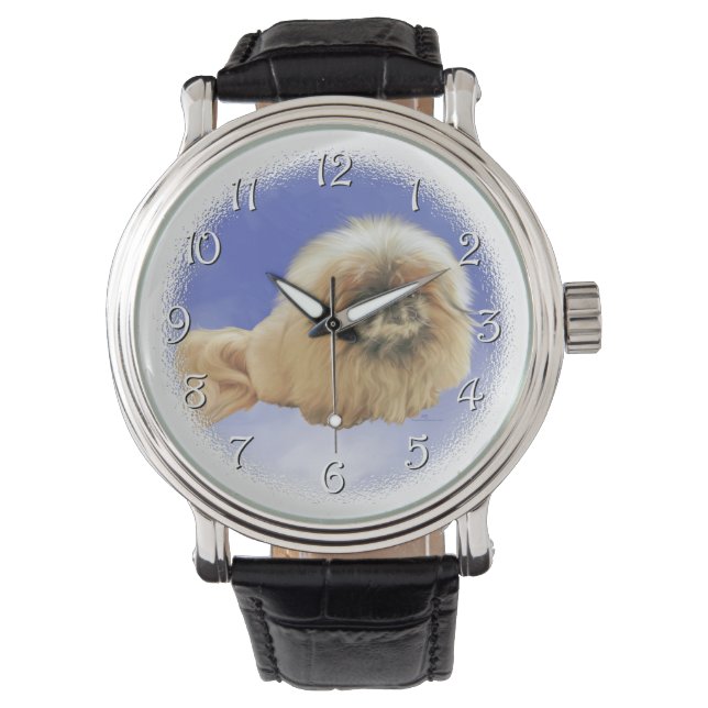 Montre Pékingais sur fond bleu (devant)