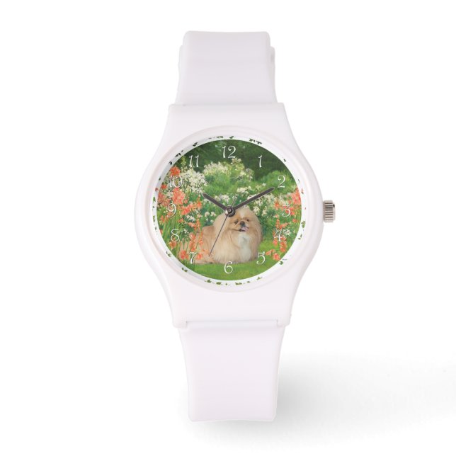 Montre Pekingese dans un jardin (Recto)
