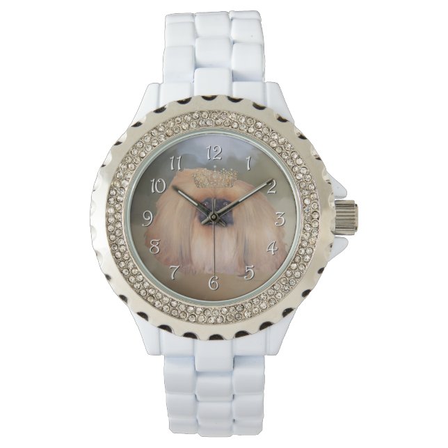 Montre Pékinois Royal (devant)