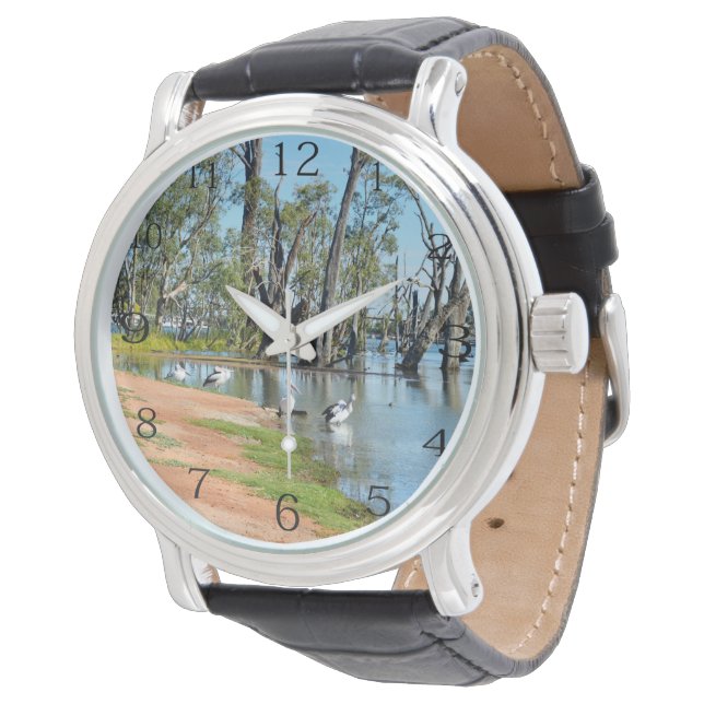 Montre Pélicans se faisant bronzer River Murray,  (Incliné)