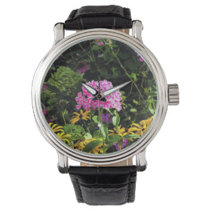 Montre Peppermint Twist Phlox dans le jardin des fleurs
