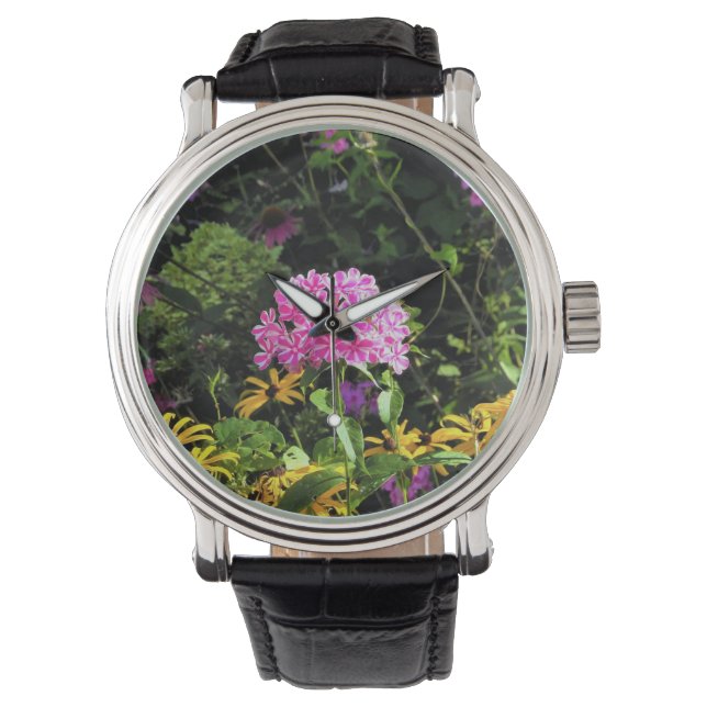 Montre Peppermint Twist Phlox dans le jardin des fleurs (devant)