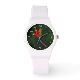 Montre Perroquet en vol