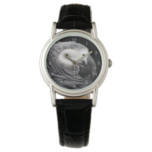Montre Perroquet Gris Africain