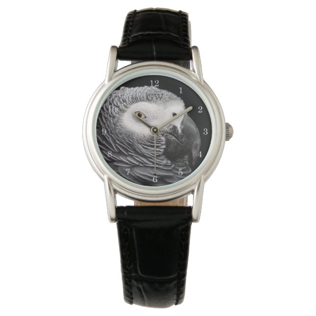 Montre Perroquet Gris Africain (devant)