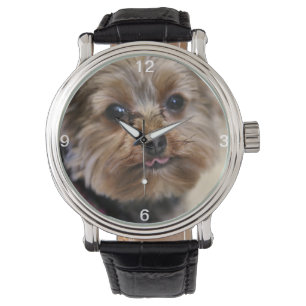 Montre Pfft !