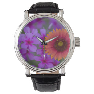 Montre Phlox et couverture indienne près de Devine Texas