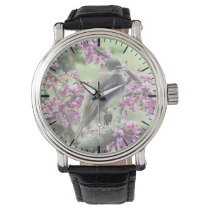 Montre Phoebe dans un arbre à Redbud