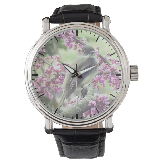 Montre Phoebe dans un arbre à Redbud (devant)