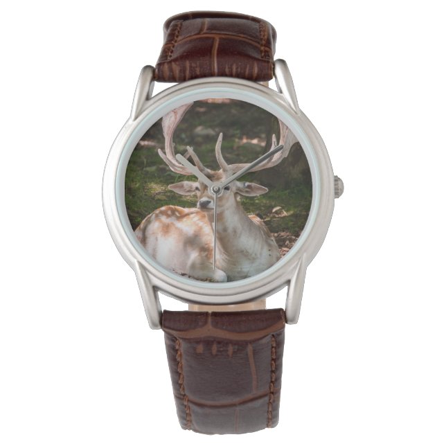 montre photo cerf sous les bois (devant)