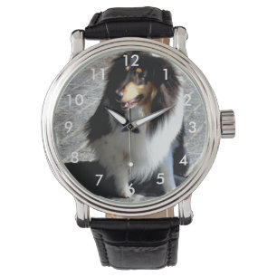 Montre photo de chien
