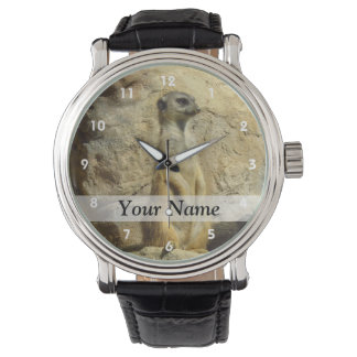 Montre Photo de Cute meerkat