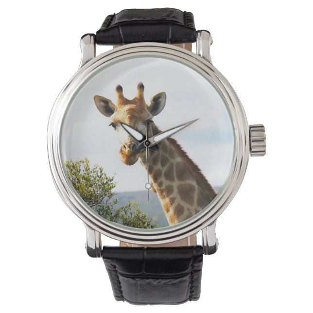 Montre Photo de fond d'une girafe masculine sur Safari (devant)