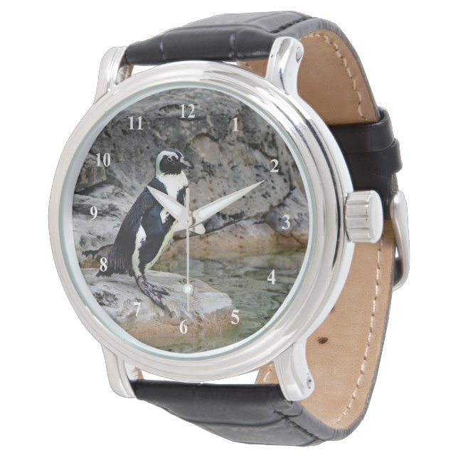 Montre Photo de manchot sauvage (Incliné)