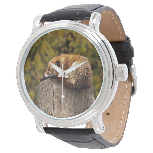 Montre Photo de renard endormi (Incliné)