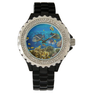 Montre Photo d'un poisson tropical sur un récif coralien