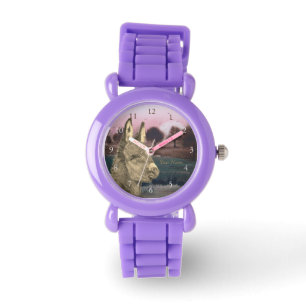 Montre photo pittoresque colorée de l'âne mignon