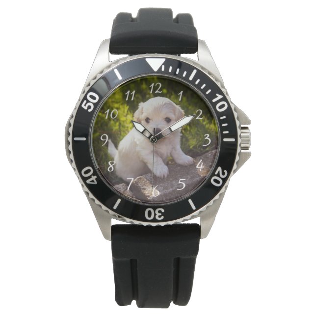 Montre Photo pour animaux de compagnie acier inoxydable B (devant)