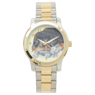 Montre photo très mignonne du chiot rottweiler