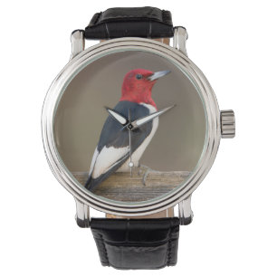 Montre Pic à tête rouge sur une clôture