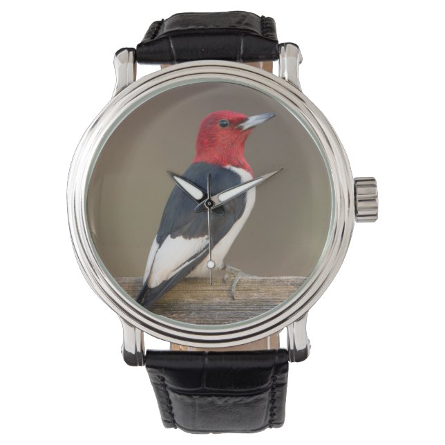 Montre Pic à tête rouge sur une clôture (devant)