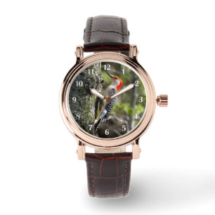 Montre Pic à ventre rouge Nombres blancs