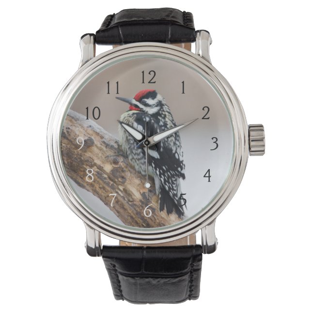 Montre Pic maculé mâle (devant)