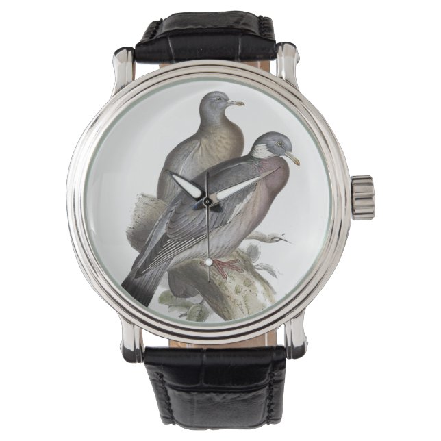 Montre Pigeon (devant)