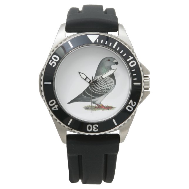 Montre Pigeon Show Racer Blue Check (devant)