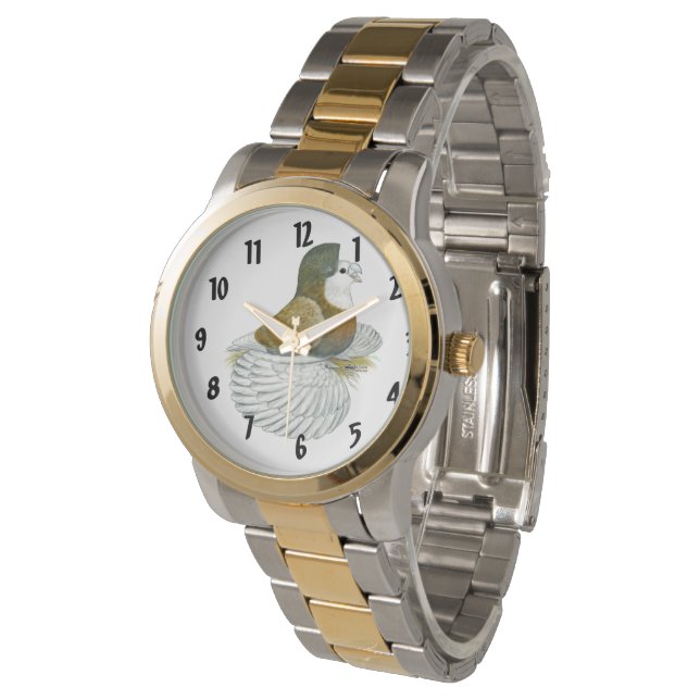 Montre Pigeon trompette AOC (Incliné)