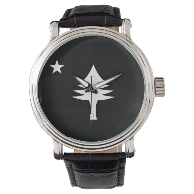 Montre Pin et étoile 1901 drapeau de l'état du Maine (devant)