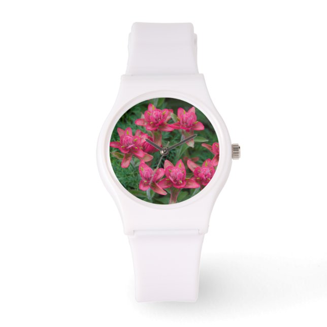 Montre Pinceau indien (Recto)