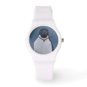 Montre Pingouin d'Adelie sur la glace