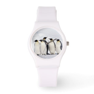 Montre Pingouins d'empereur