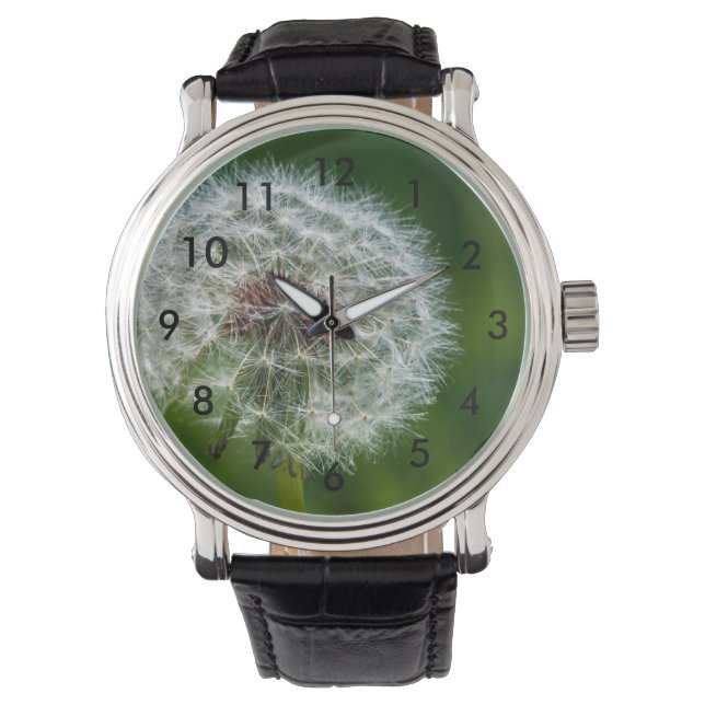 Montre Pissenlit à la lumière (devant)