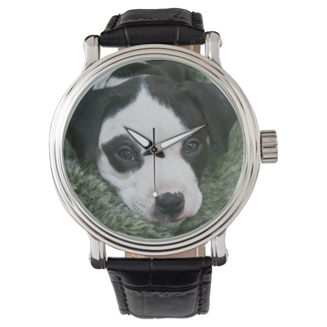 Montre Pit Bull Puppy (Angie) (devant)