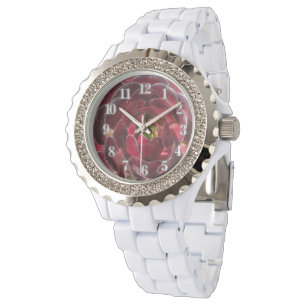 Montre Plante côtier Photo Rouge Bourgogne Succulent