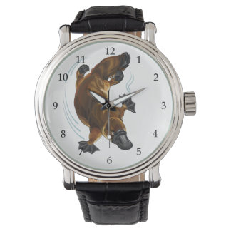 Montre platypus