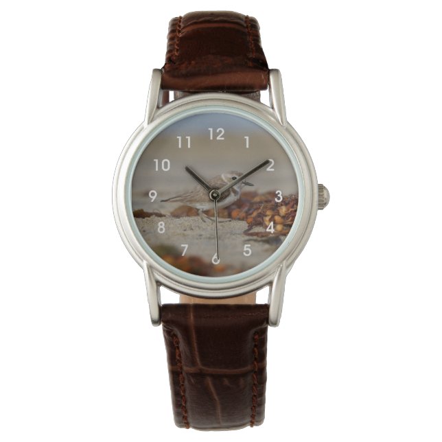 Montre Plover et algue (devant)