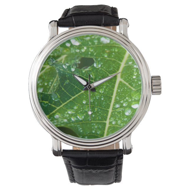 Montre Pluies sur la feuille de Papaya Vert (devant)