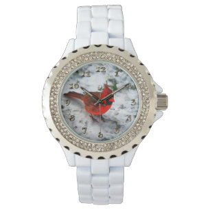 Montre Plumes cardinales rouges et plumage
